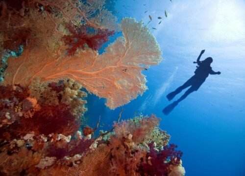 Sharm: Water Sports Adventure Day
