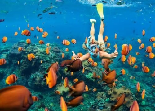 Sharm El Sheikh Ras Mohammed Snorkeling Boat Tour