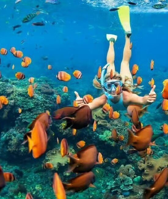 Sharm El Sheikh Ras Mohammed Snorkeling Boat Tour