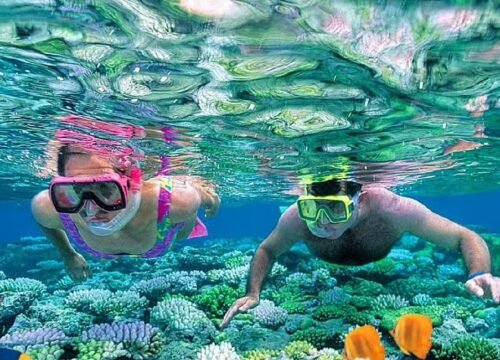 From Sharm El Sheikh: Snorkeling Tour to Ras Mohamed by Bus